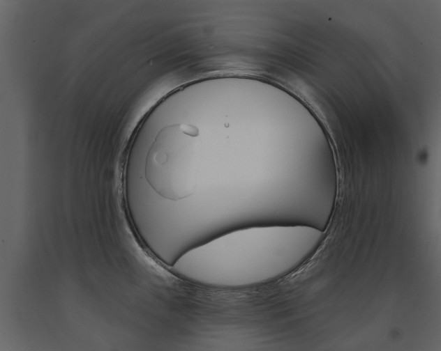 X0000091671243200708231006