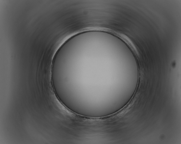 X0000091671244200708231006