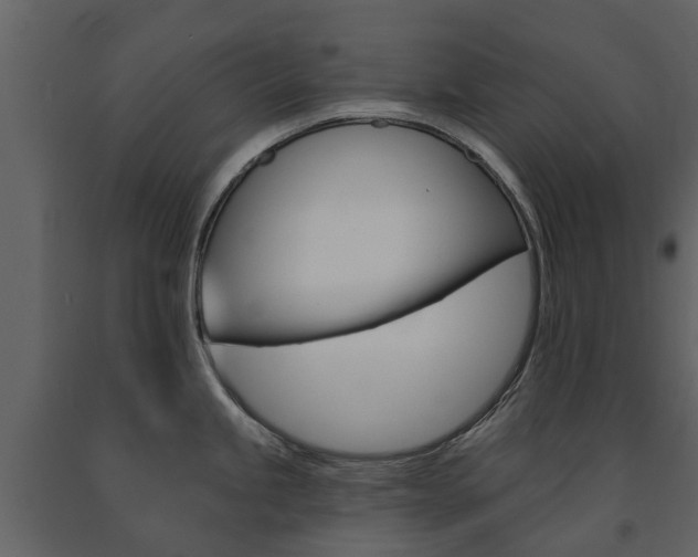 X0000091671245200708231006