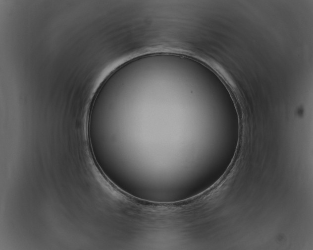 X0000091671246200708231006