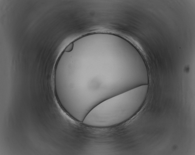 X0000091671247200708231006