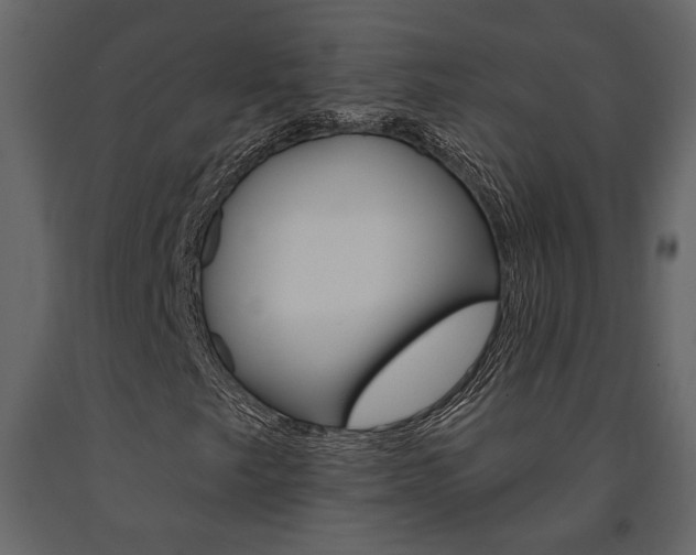 X0000091671249200708231006