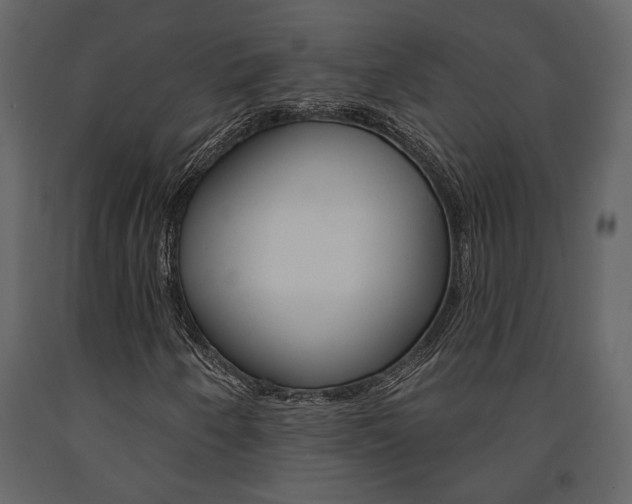 X0000091671250200708231006