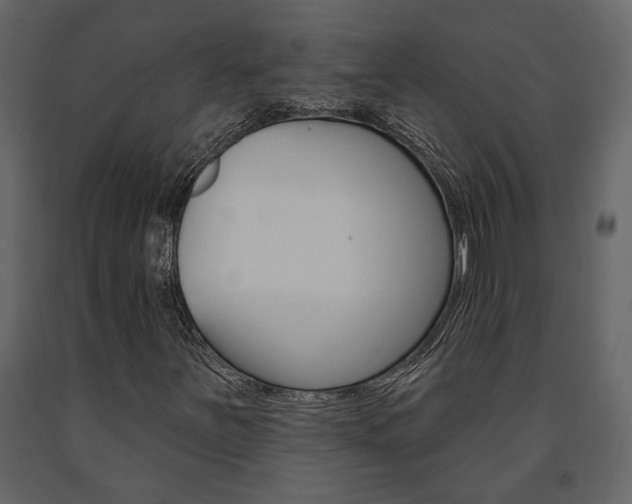 X0000091671251200708231006