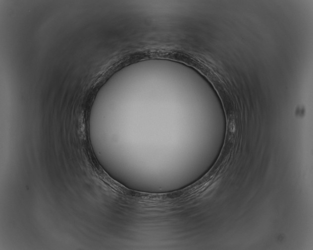X0000091671252200708231006