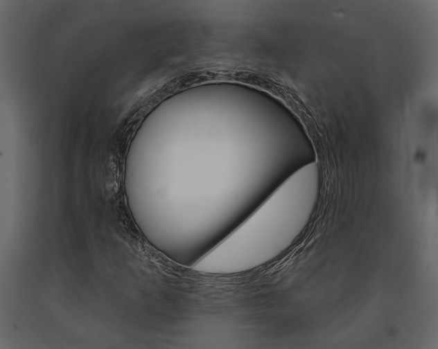 X0000091671253200708231006