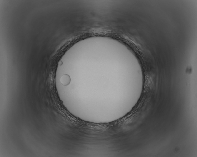 X0000091671254200708231006