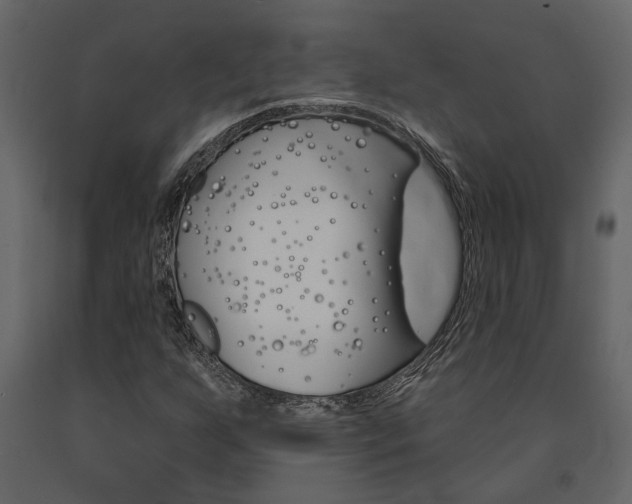 X0000091671255200708231006