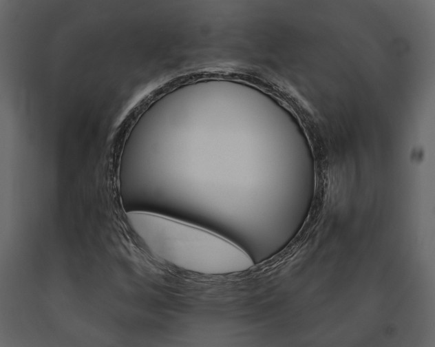 X0000091671256200708231005
