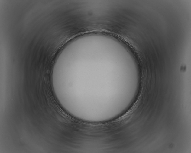 X0000091671257200708231005