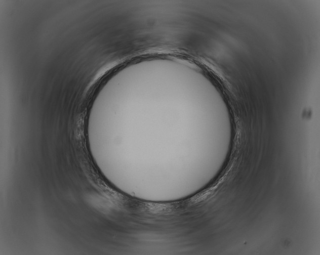 X0000091671258200708231005