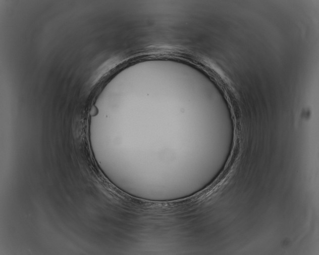 X0000091671259200708231005