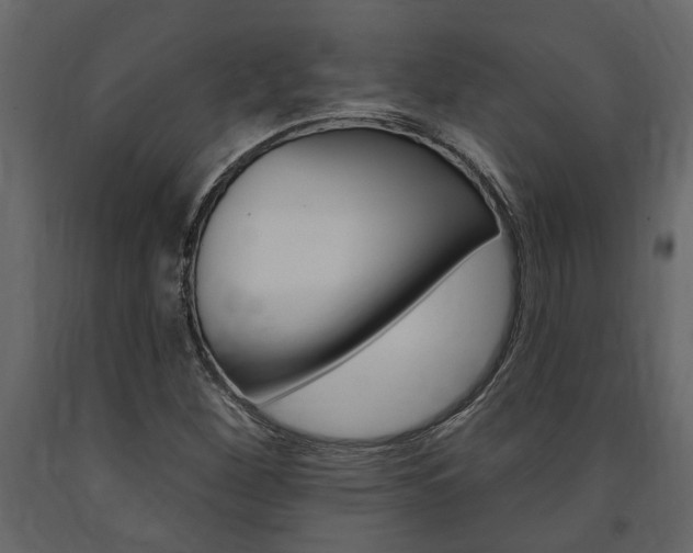 X0000091671260200708231005