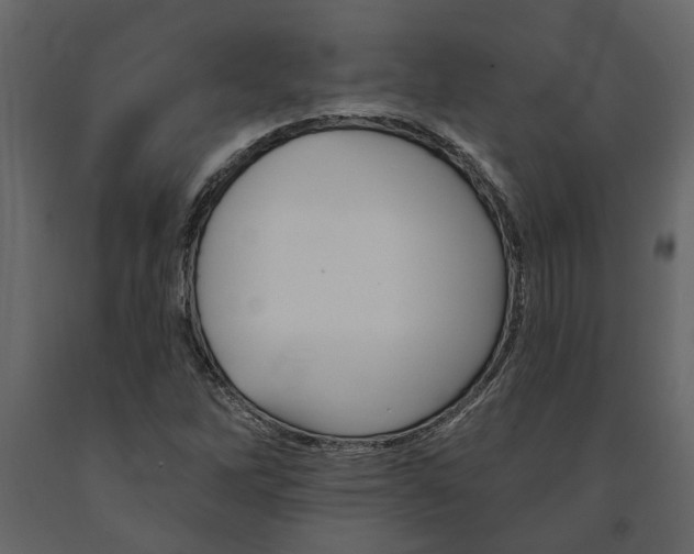 X0000091671262200708231005