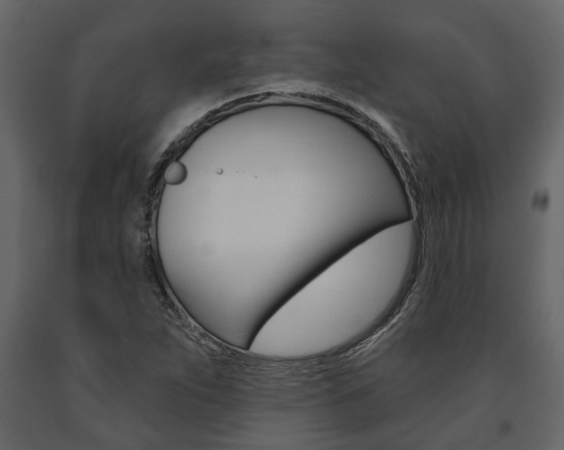 X0000091671263200708231005