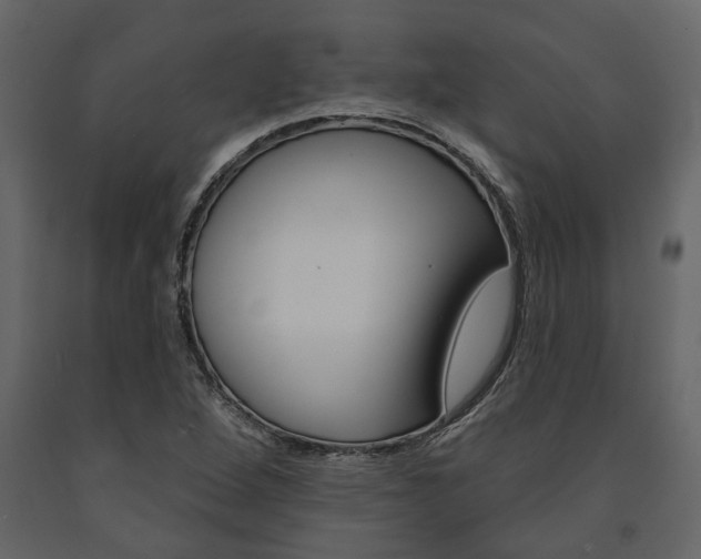 X0000091671264200708231005