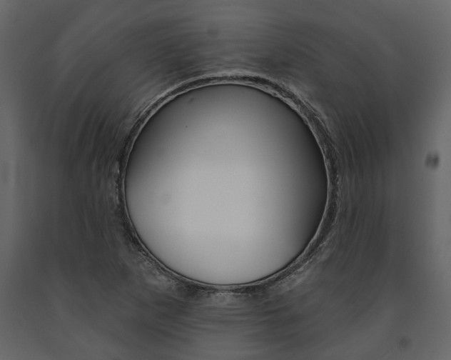 X0000091671265200708231005