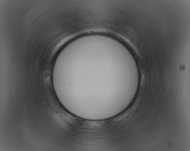 X0000091671266200708231005