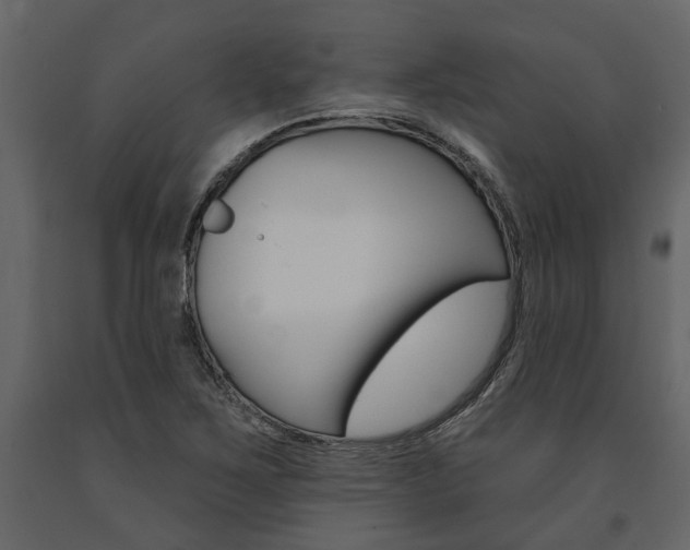 X0000091671267200708231005