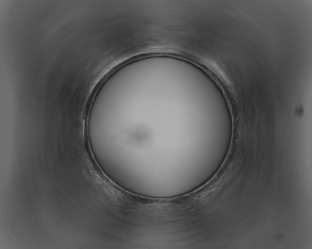 X0000091671268200708231005