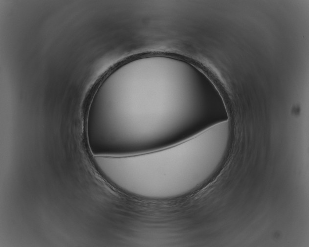 X0000091671270200708231005