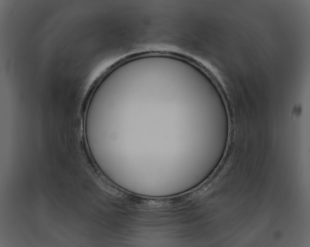 X0000091671271200708231005