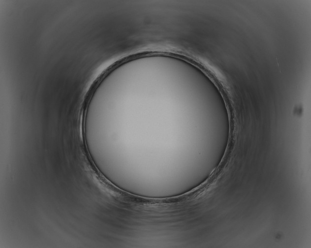 X0000091671272200708231005