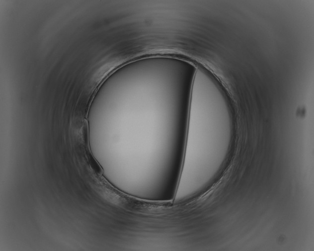 X0000091671273200708231005