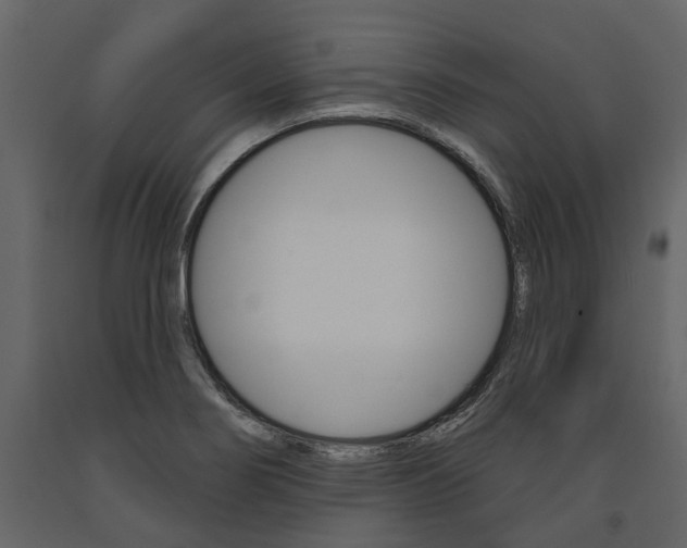 X0000091671274200708231005