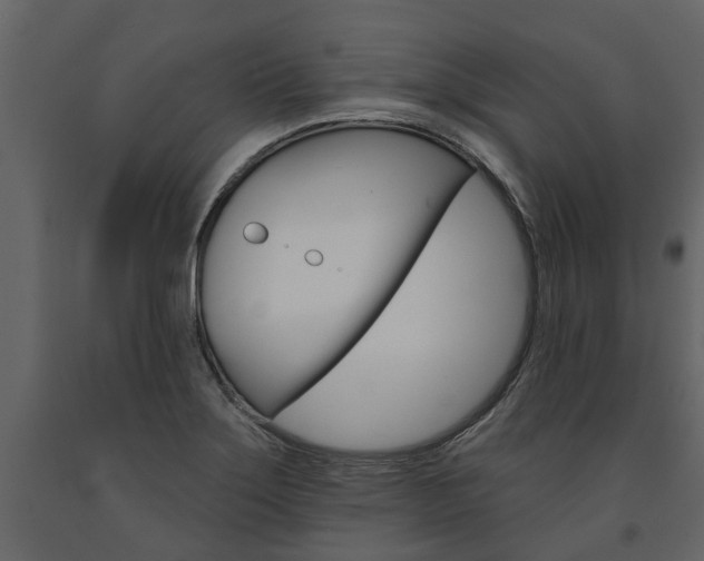 X0000091671275200708231005