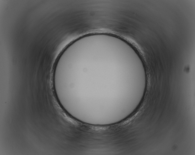 X0000091671278200708231005