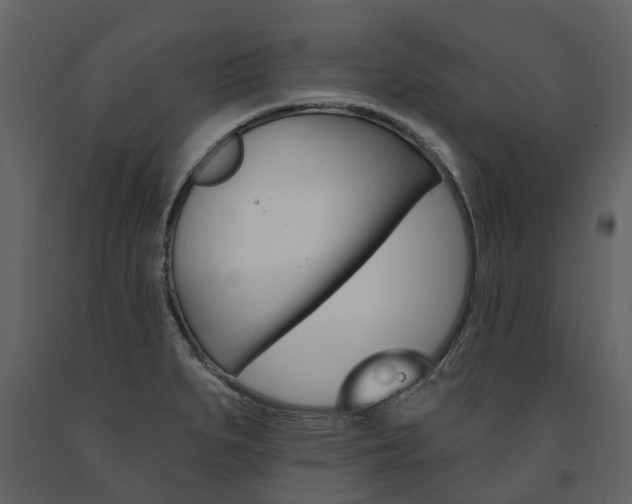 X0000091671279200708231005