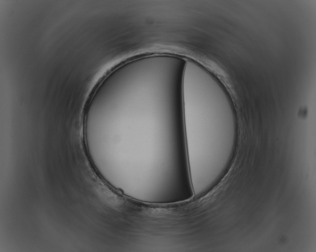 X0000091671280200708231005