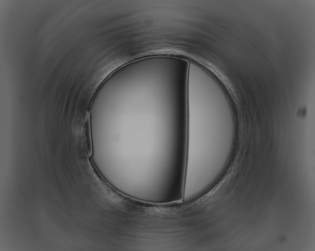 X0000091671281200708231005