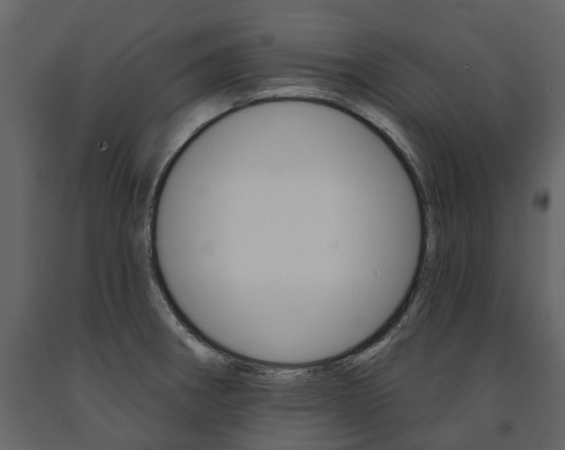 X0000091671282200708231005