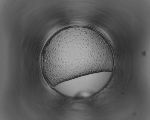 X0000091671283200708231005