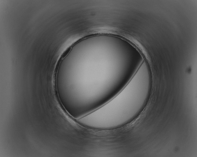 X0000091671285200708231005