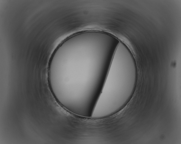 X0000091671288200708231005