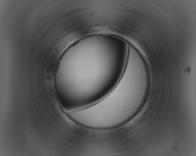 X0000091671289200708231005