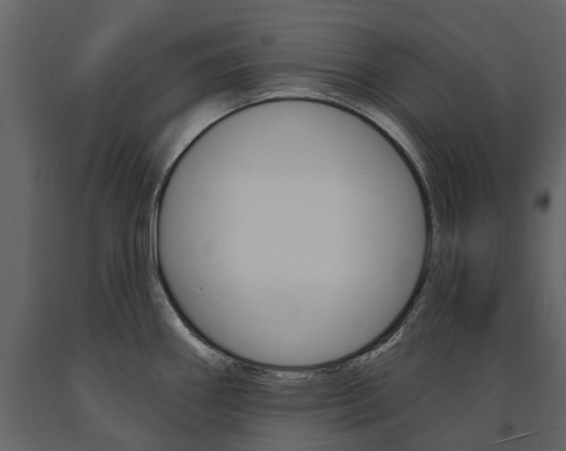 X0000091671290200708231005