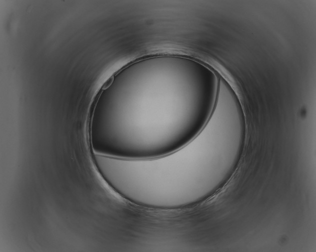 X0000091671293200708231005