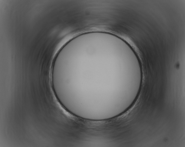 X0000091671294200708231005