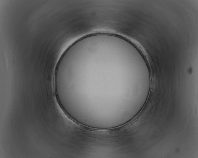 X0000091671295200708231005