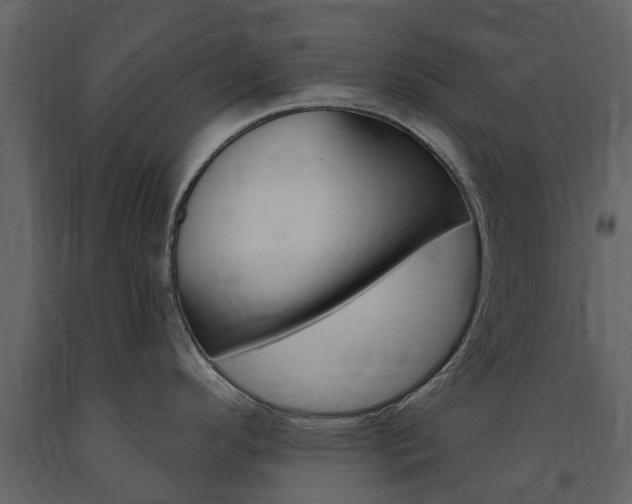 X0000091671296200708231005