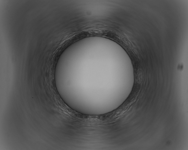 X0000091671297200708231004
