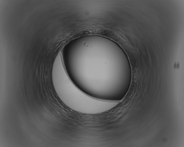 X0000091671298200708231004