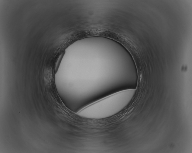 X0000091671299200708231004
