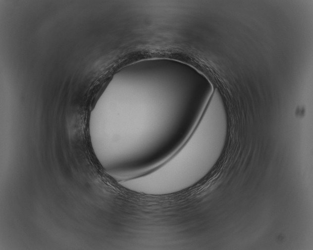 X0000091671300200708231004