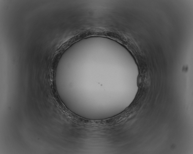X0000091671301200708231004