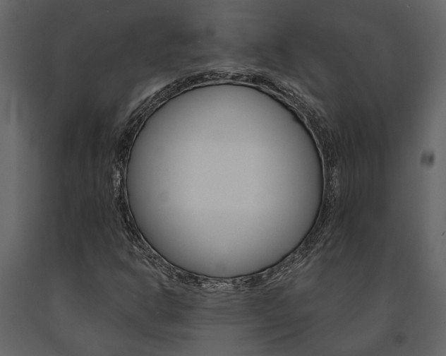 X0000091671302200708231004
